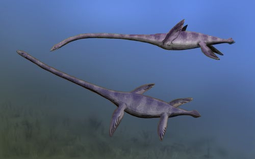 Plesiosauros