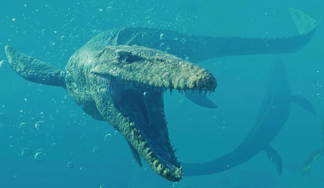 Comparação de tamanho do Mosasaurus com outros répteis marinhos do Mesozoico.