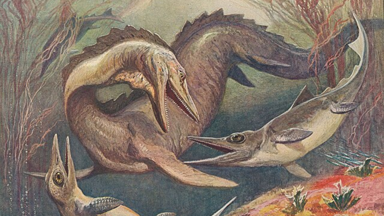 Reconstituição artística de Mosasaurus hoffmannii emergindo da água para capturar presa.