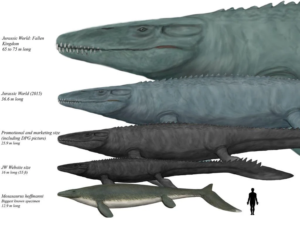 Comparação entre o Mosasaurus de Jurassic World (~25-30m) e o tamanho real da espécie (~13m).