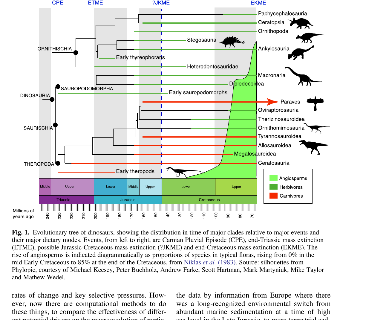 Árvore evolutiva dos dinossauros com a ascensão das angiospermas sobreposta