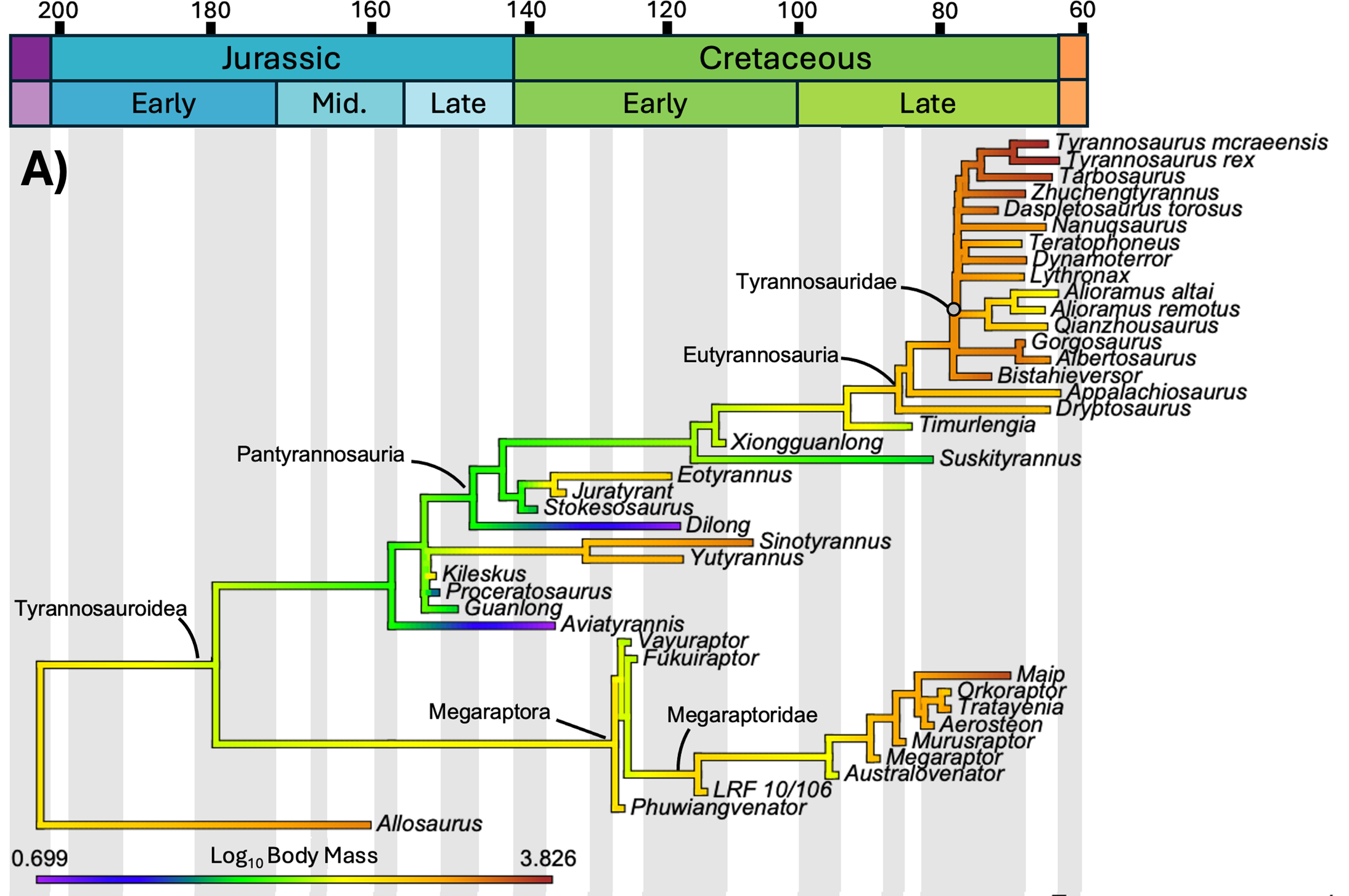 Cladograma dos tiranossauroides com massa corporal (log) mapeada nos ramos