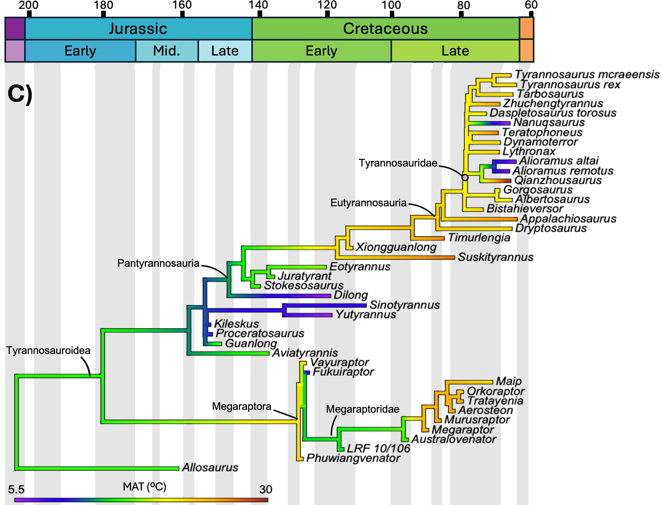 Cladograma dos tiranossauroides com temperatura média anual mapeada nos ramos