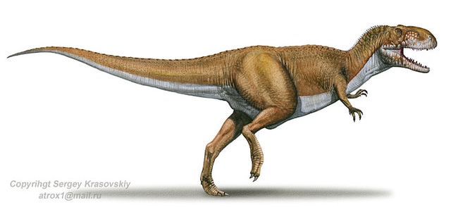 Abelisaurus comahuensis