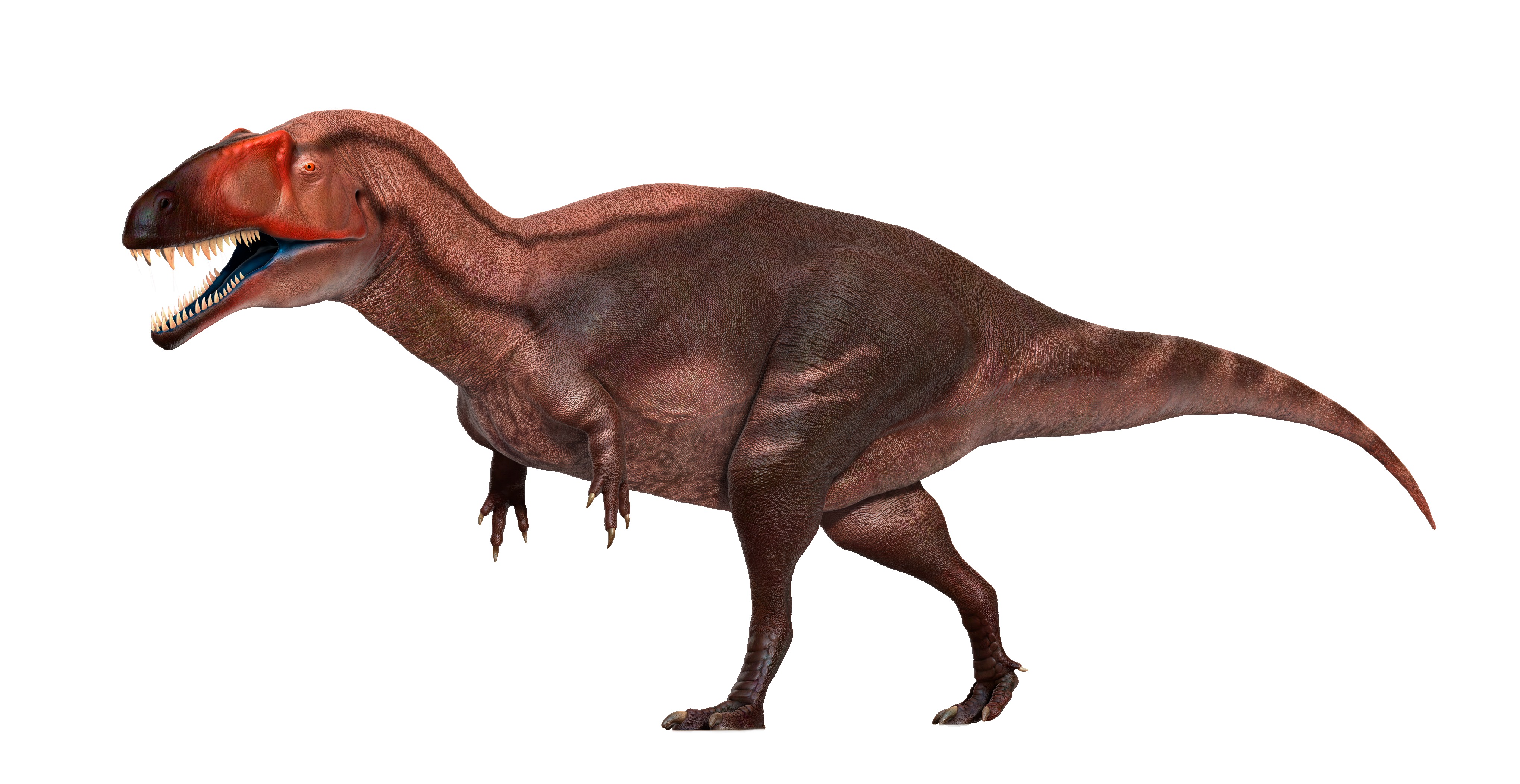 Acrocanthosaurus atokensis