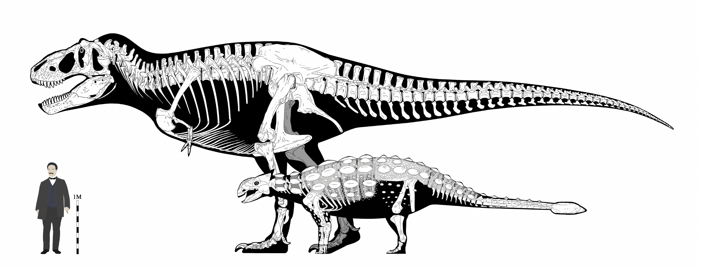 Detalhe da reconstituição de Ankylosaurus mostrando a cabeça blindada e osteodermes.
