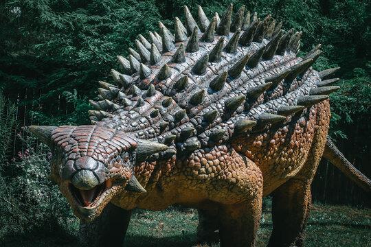 Ankylosaurus magniventris