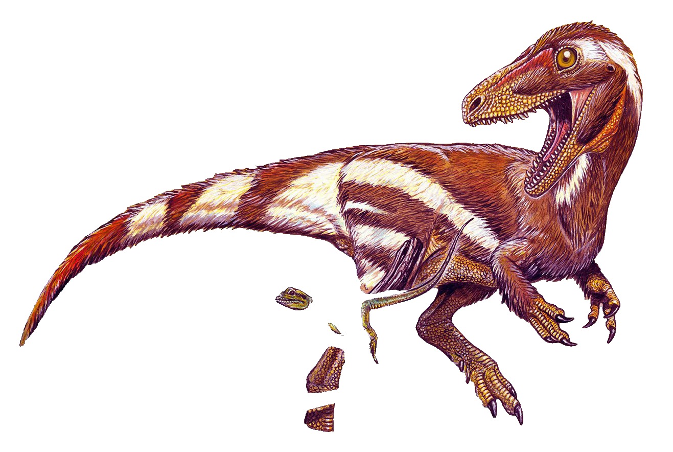 Aratasaurus museunacionali