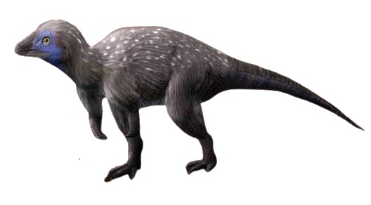 Kulindadromeus zabaikalicus