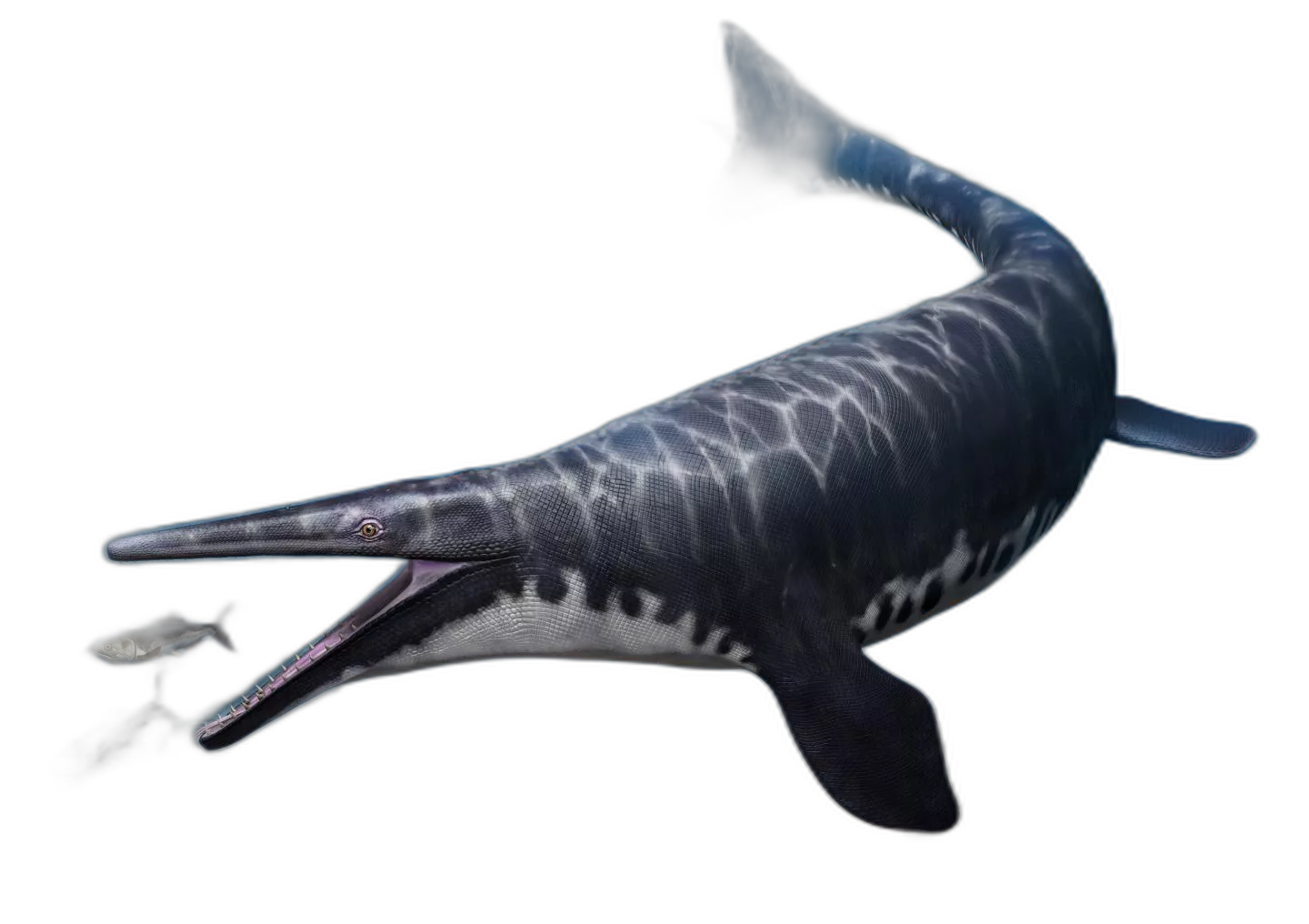 Mosasaurus hoffmannii