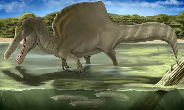 Spinosaurus em ambiente aquático, refletindo a hipótese de predador semiaquático confirmada por estudos de densidade óssea.