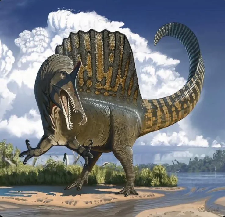Reconstituição alternativa de Spinosaurus mostrando a evolução das interpretações científicas do animal ao longo dos anos.