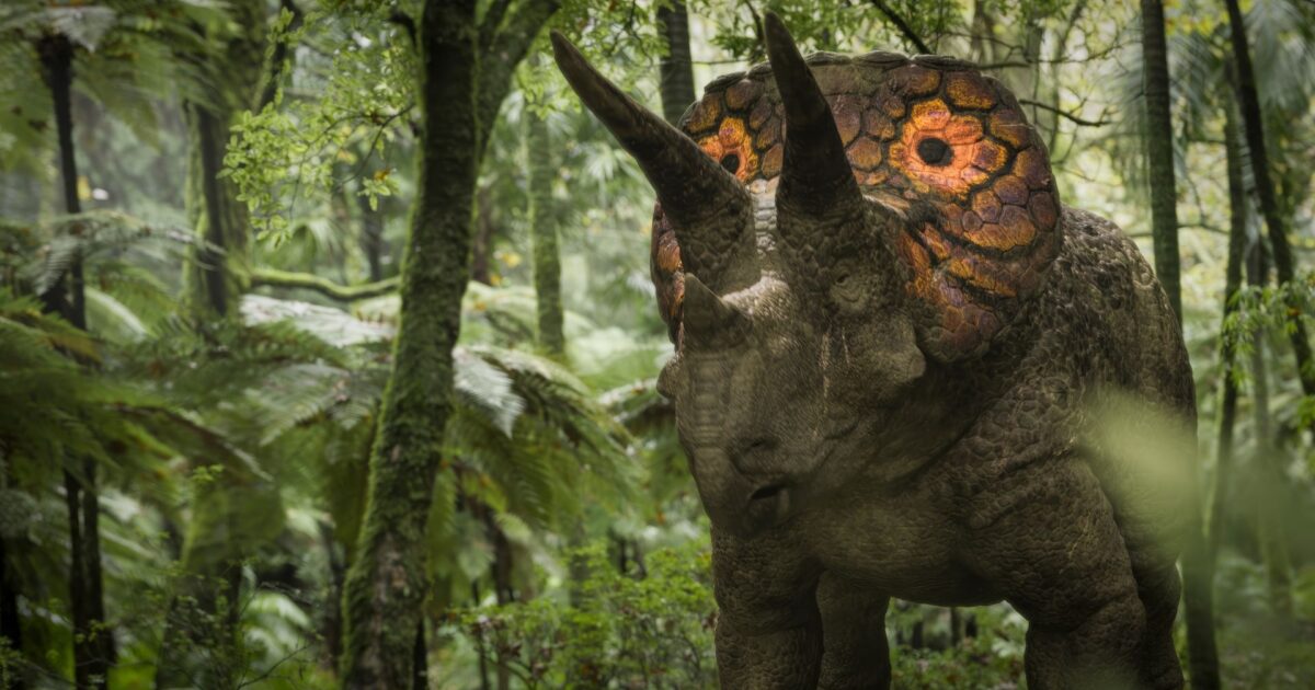 Reconstituição artística de Triceratops — a frila óssea era coberta de pele vascularizada, possivelmente com função termorreguladora e de exibição sexual, mudando de cor conforme o estado emocional do animal.